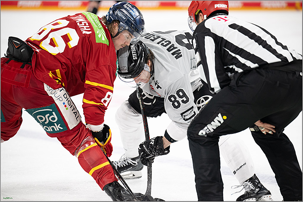 PENNY DEL; Duesseldorfer EG- Koelner Haie; Duesseldorf, 24.01.2025